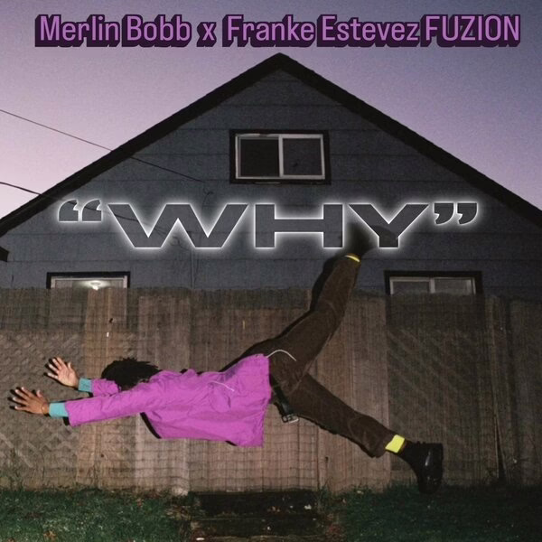 MERLIN BOBB, Franke Estevez FUZION \xe2\x80\x94 WHY (SHELTER X FUZION REMIX VOCAL)